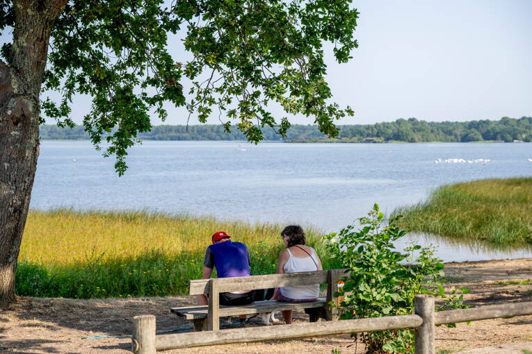 Camping Rivages des Landes **** photo 6 Landes Tohapi